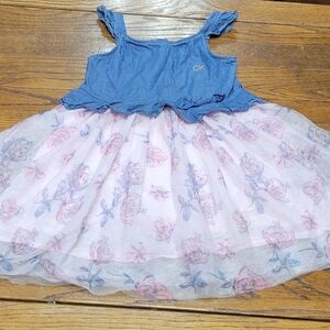 Calvin Klein Blue and Pink Floral Kids Dress